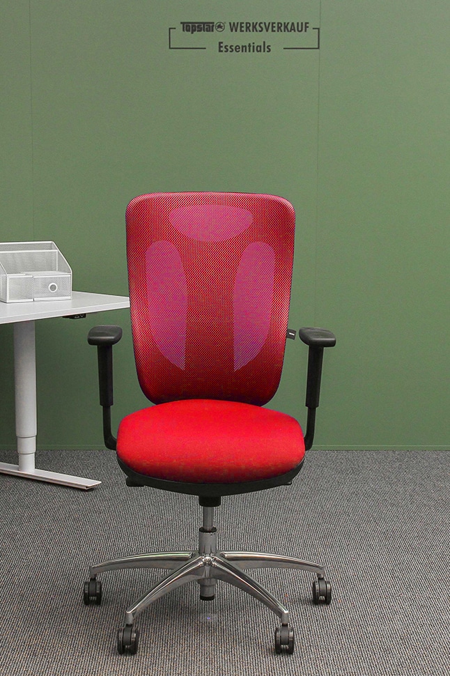 Sitness Net Pro mit Armlehnen poliert/rot