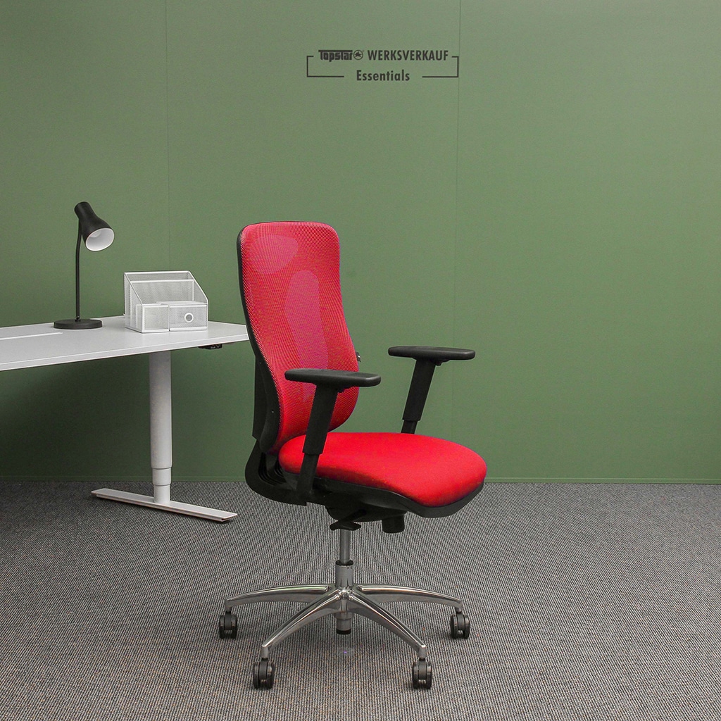 Sitness Net Pro mit Armlehnen poliert/rot Sitness Net Pro mit Armlehnen poliert/rot