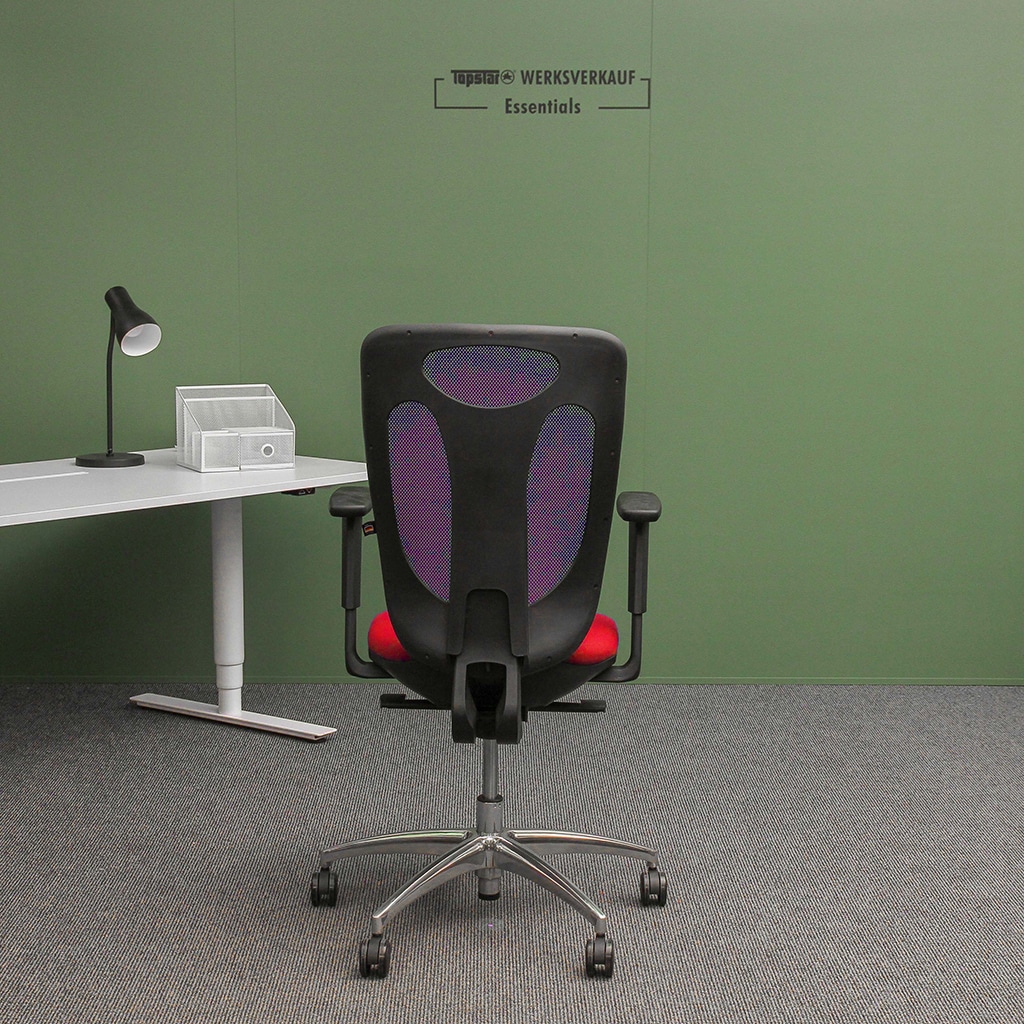 Sitness Net Pro mit Armlehnen poliert/rot Sitness Net Pro mit Armlehnen poliert/rot