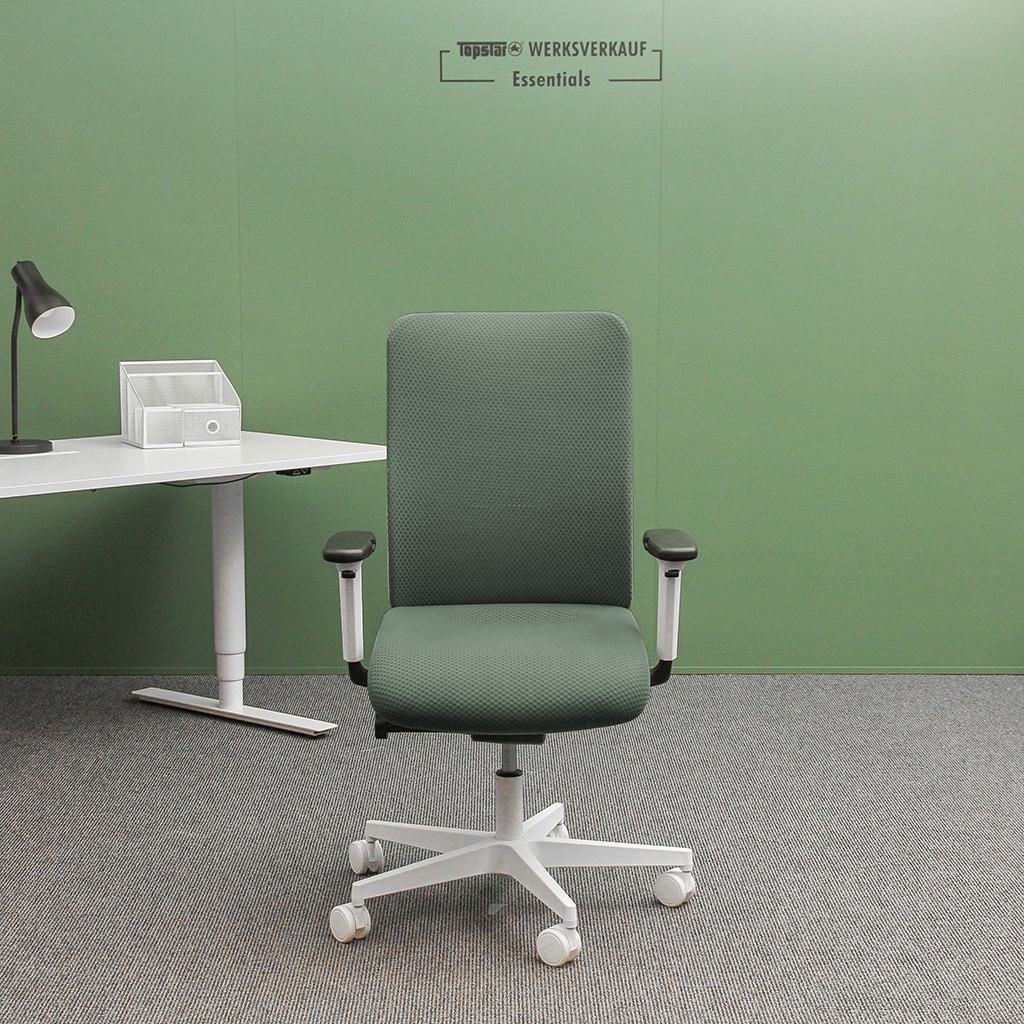 Sitness Life 50 mit Armlehnen TW2 weiß/grau-grün Sitness Life 50 mit Armlehnen TW2 weiß/grau-grün