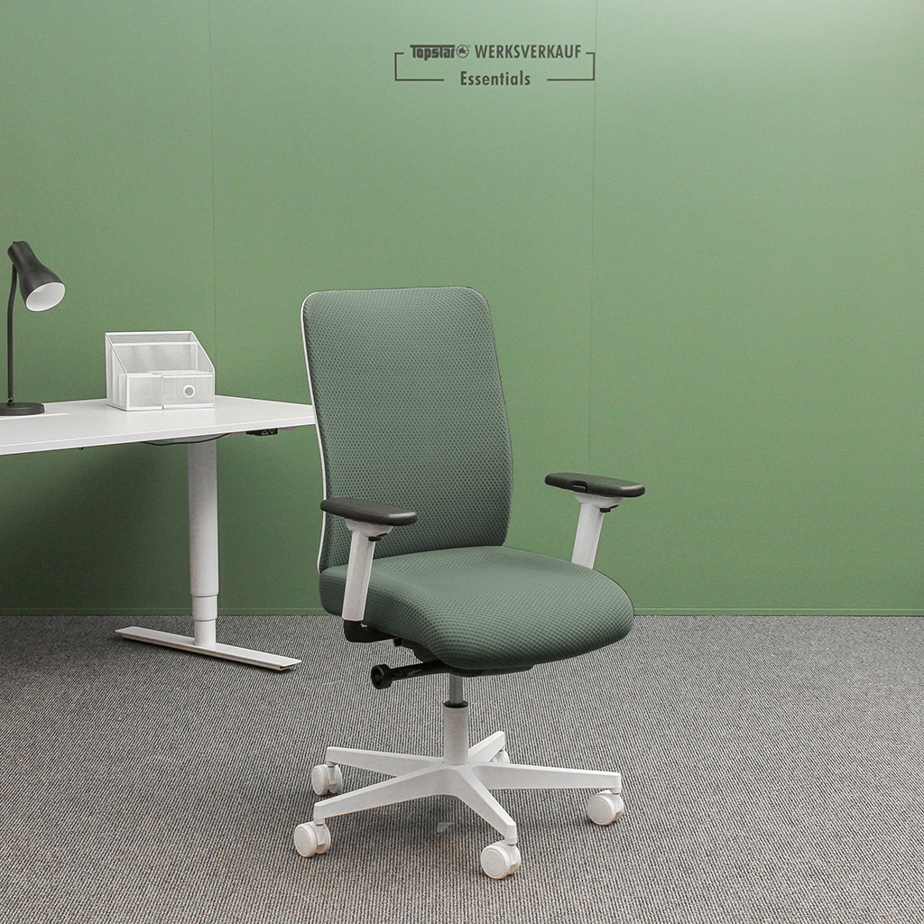 Sitness Life 50 mit Armlehnen TW2 weiß/grau-grün Sitness Life 50 mit Armlehnen TW2 weiß/grau-grün