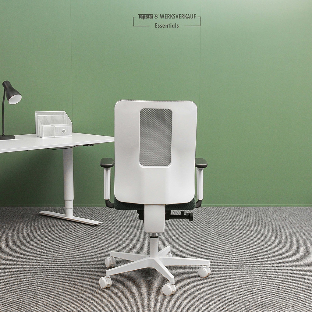 Sitness Life 50 mit Armlehnen TW2 weiß/grau-grün Sitness Life 50 mit Armlehnen TW2 weiß/grau-grün