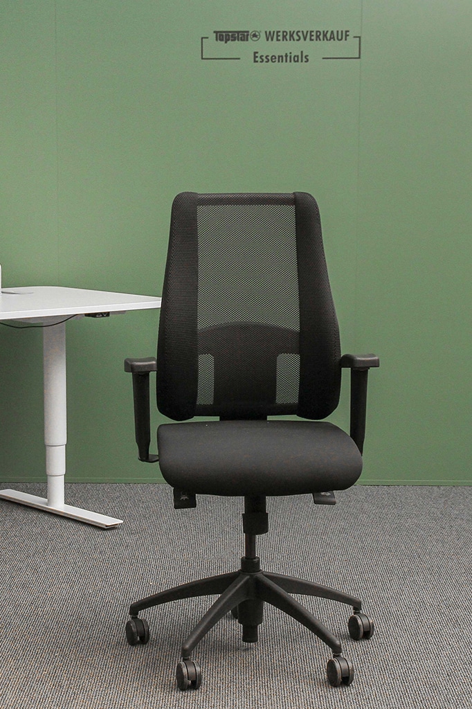 Lady Sitness Deluxe mit Armlehnen schwarz/schwarz