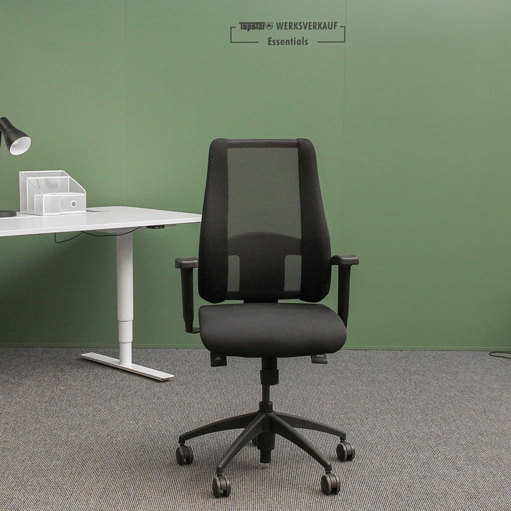 Lady Sitness Deluxe mit Armlehnen schwarz/schwarz Lady Sitness Deluxe mit Armlehnen schwarz/schwarz