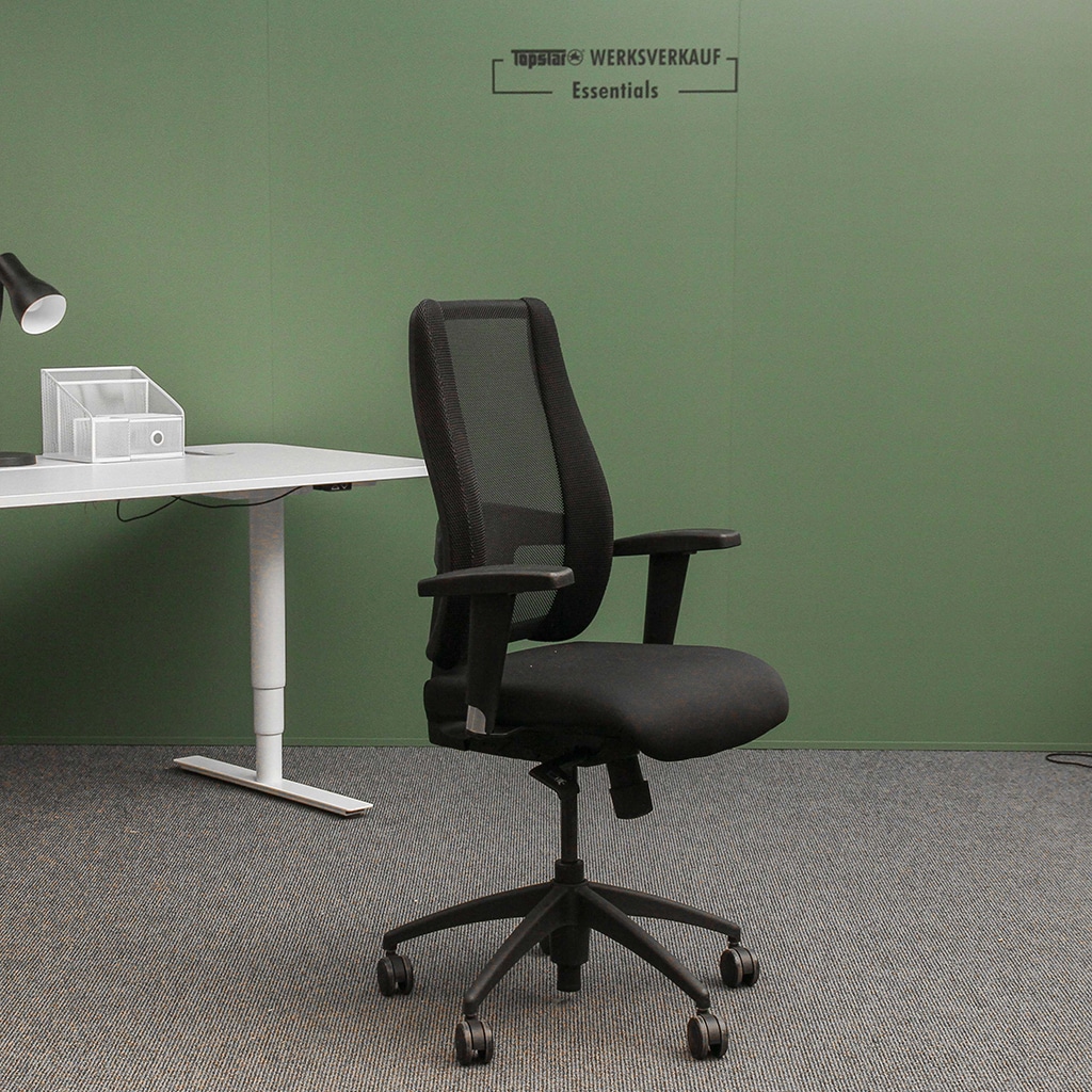 Lady Sitness Deluxe mit Armlehnen schwarz/schwarz Lady Sitness Deluxe mit Armlehnen schwarz/schwarz