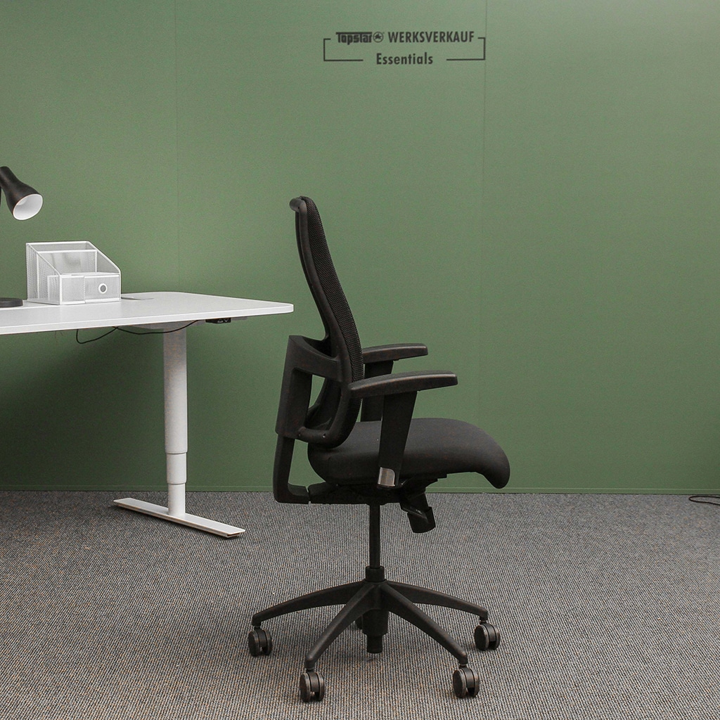 Lady Sitness Deluxe mit Armlehnen schwarz/schwarz Lady Sitness Deluxe mit Armlehnen schwarz/schwarz