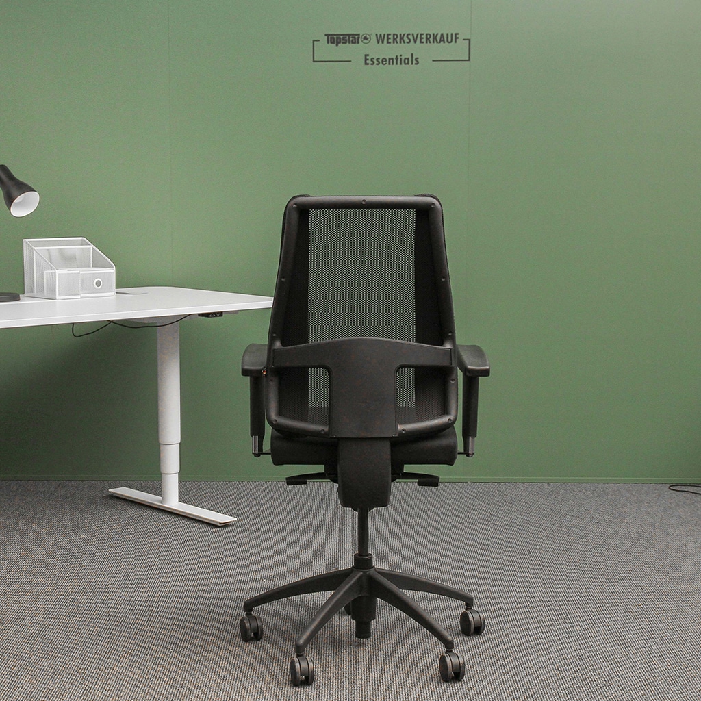 Lady Sitness Deluxe mit Armlehnen schwarz/schwarz Lady Sitness Deluxe mit Armlehnen schwarz/schwarz