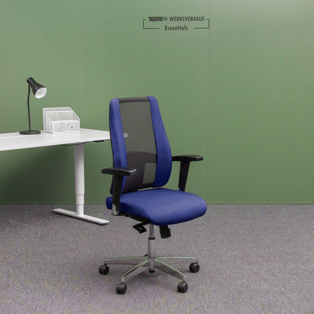 Sitness Lady 300 mit Armlehnen poliert/dunkelblau Sitness Lady 300 mit Armlehnen poliert/dunkelblau