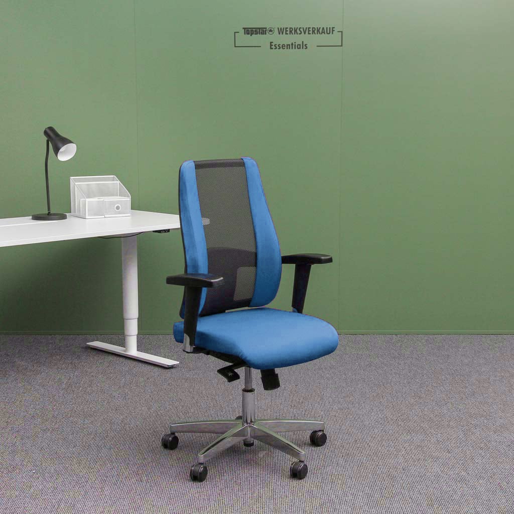 Sitness Lady 300 mit Armlehnen poliert/blau Sitness Lady 300 mit Armlehnen poliert/blau