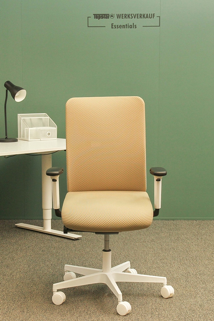 Sitness Life 50 mit Armlehnen weiß/schlamm