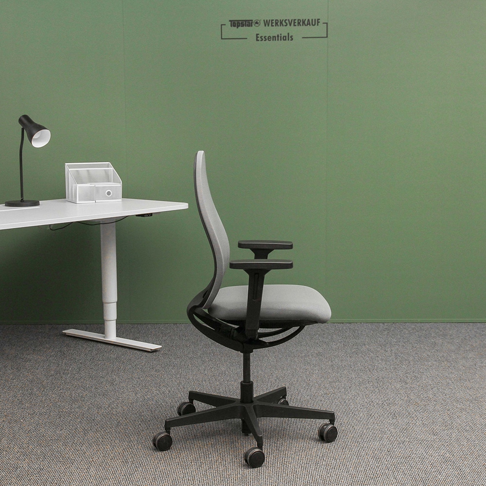 Sitness Art mit Armlehnen grau-grau Sitness Art mit Armlehnen grau-grau