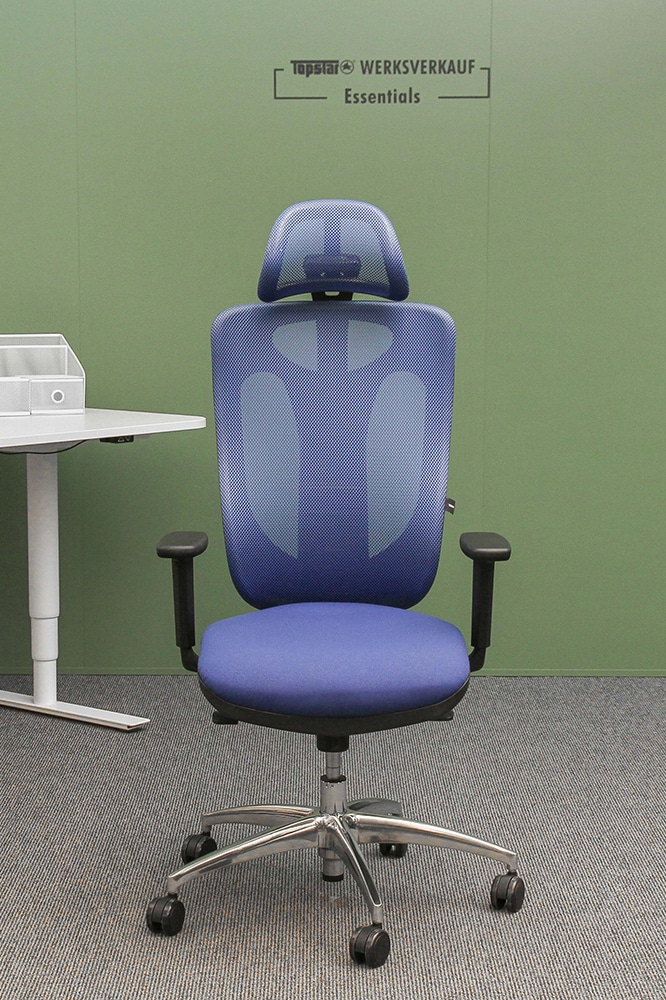 Sitness Net Pro mit Armlehnen poliert/blau