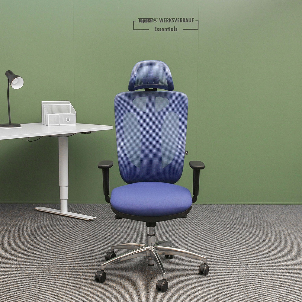 Sitness Net Pro mit Armlehnen poliert/blau Sitness Net Pro mit Armlehnen poliert/blau