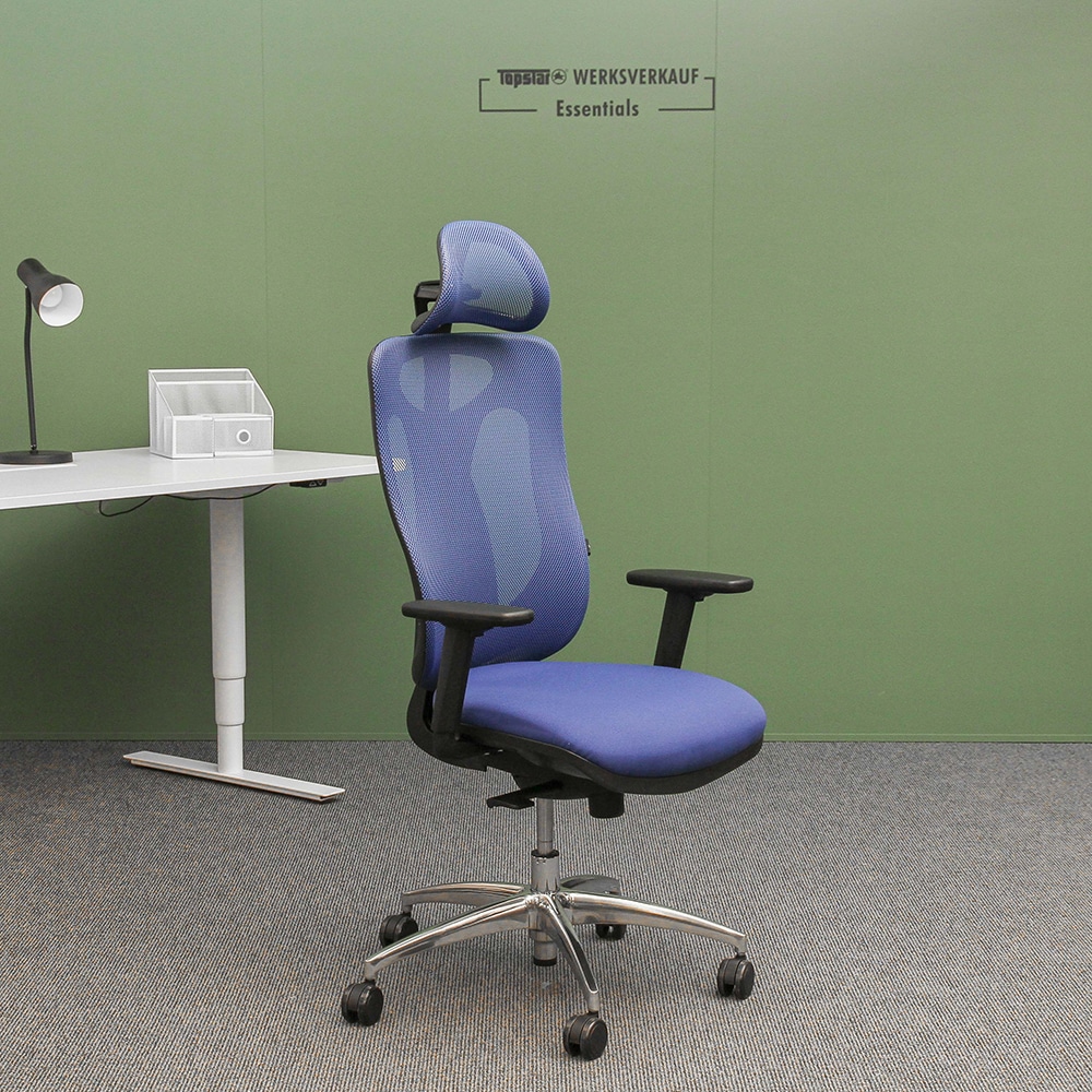 Sitness Net Pro mit Armlehnen poliert/blau Sitness Net Pro mit Armlehnen poliert/blau