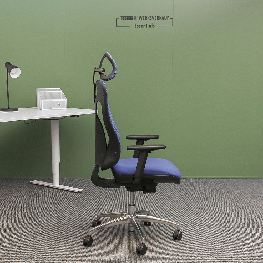 Sitness Net Pro mit Armlehnen poliert/blau Sitness Net Pro mit Armlehnen poliert/blau