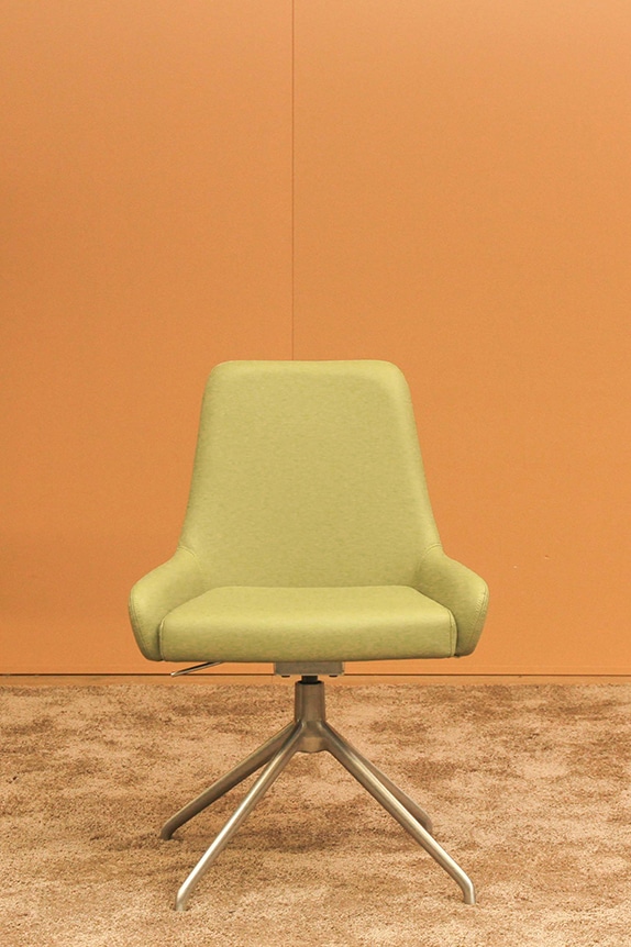 Sitness for Home P10 Sondermodell matt/olivgrün