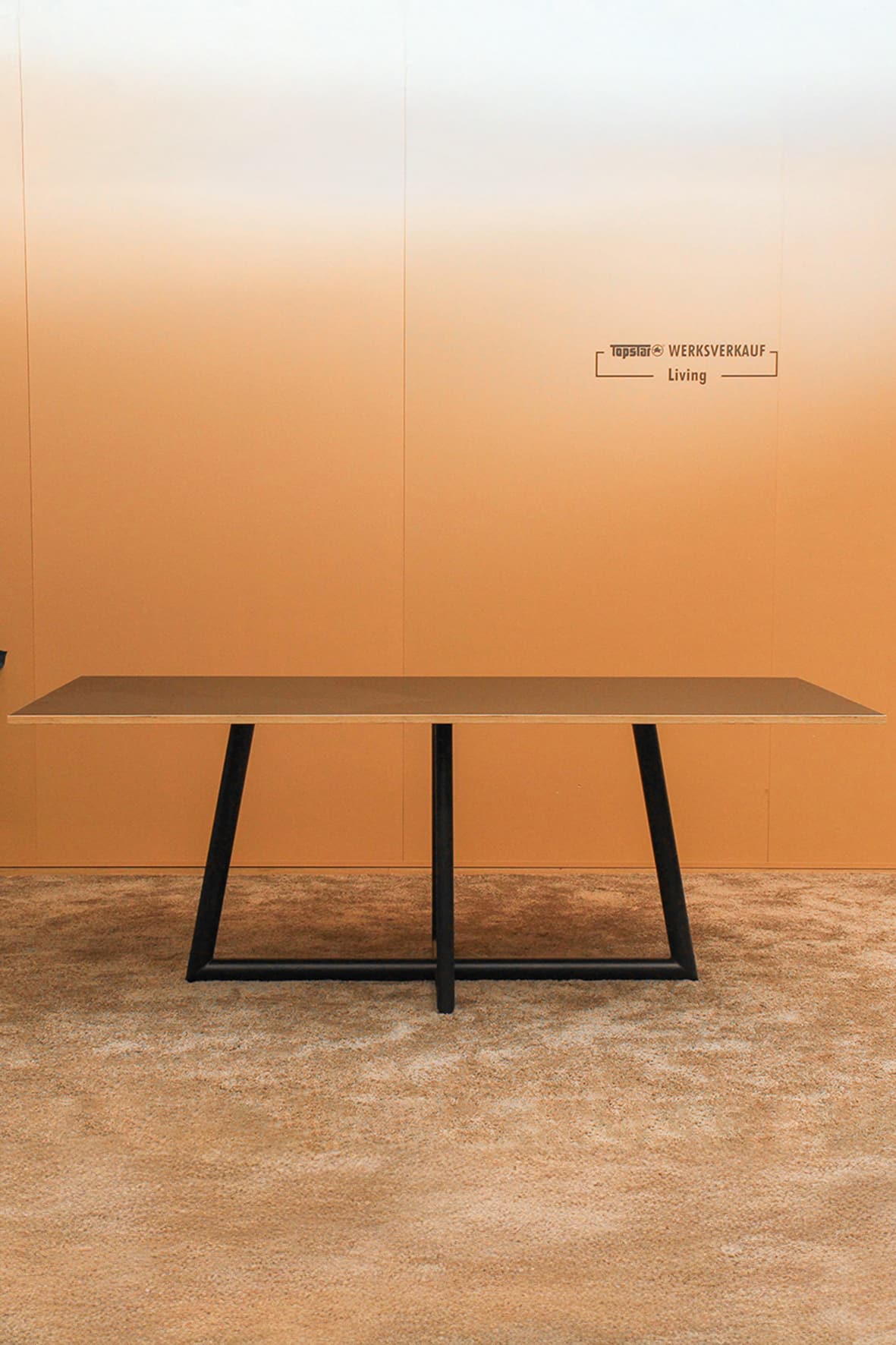 Speisezimmertisch mit Rohrrahmengestell 200x100 cm schwarz/Holz