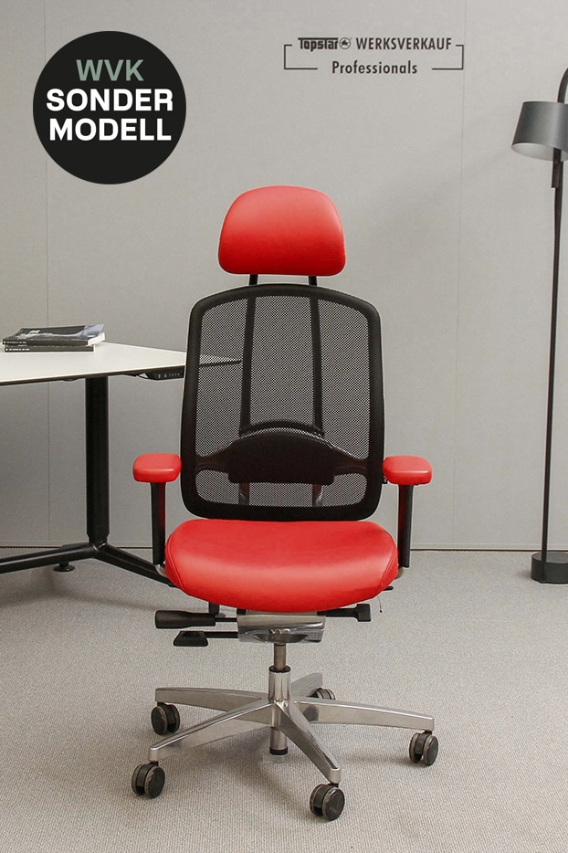 Wagner AluMedic 10 Limited mit Armlehnen D4 poliert/rot Echtleder