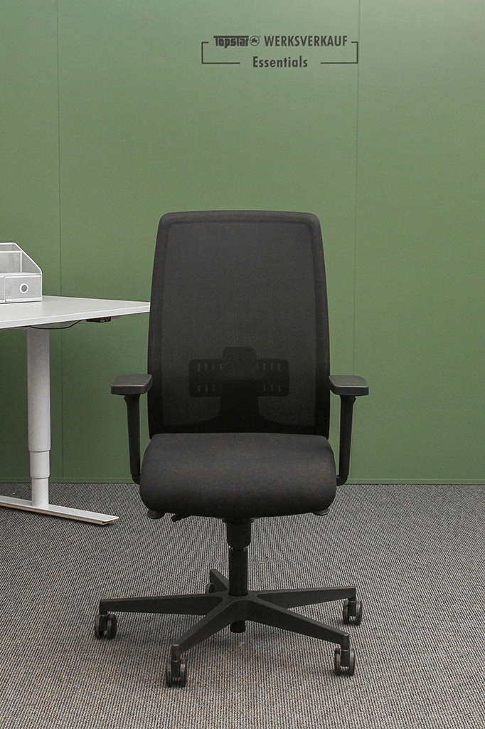 Profi Art 50 mit Armlehnen O2 schwarz