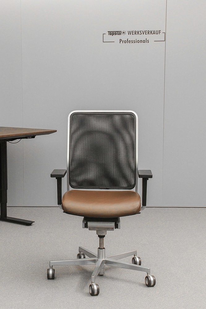 Wagner W1 LOW mit Armlehnen M3 mattchrom/dunkelbraun Echtleder