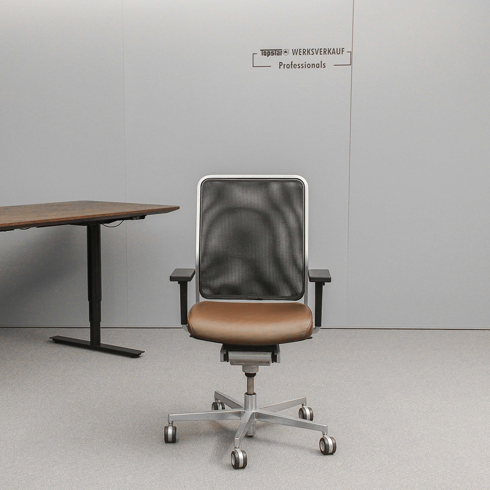 Wagner W1 LOW mit Armlehnen M3 mattchrom/dunkelbraun Echtleder Wagner W1 LOW mit Armlehnen M3 mattchrom/dunkelbraun Echtleder