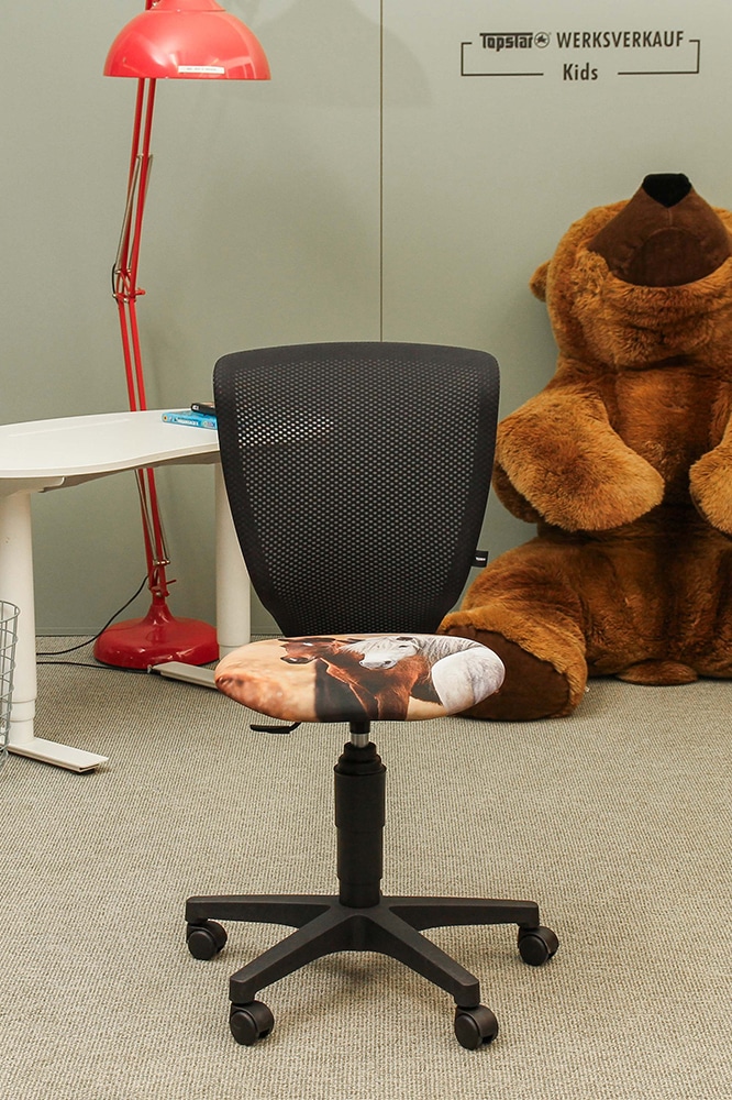 Titan Junior schwarz - zwei Pferde Titan Junior schwarz - zwei Pferde