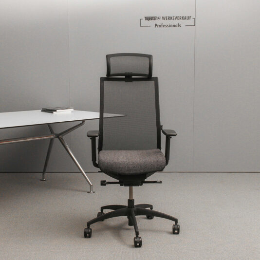 Wagner ErgoMedic 100-2 mit Kopfstütze