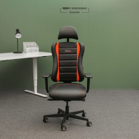 Sitness RS Pro