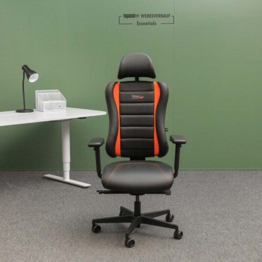 Sitness RS Pro