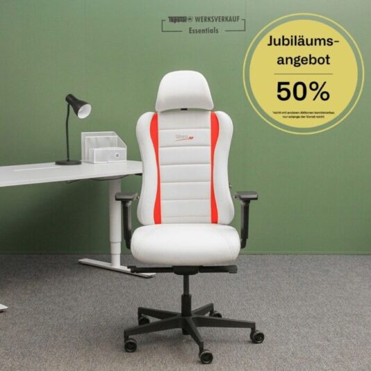 Sitness RS Pro